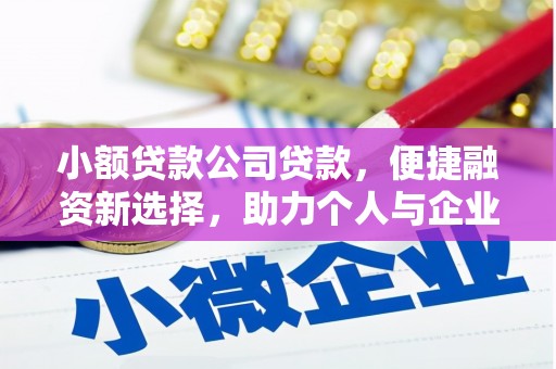 大甲小额贷款公司贷款，便捷融资新选择，助力个人与企业成长