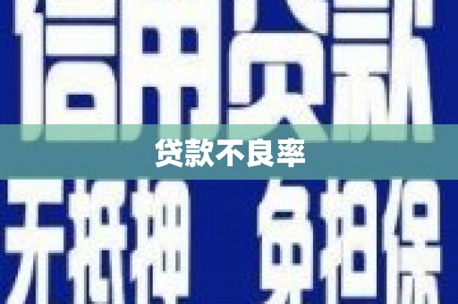 将军贷款不良率