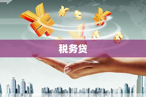 新洲税务贷